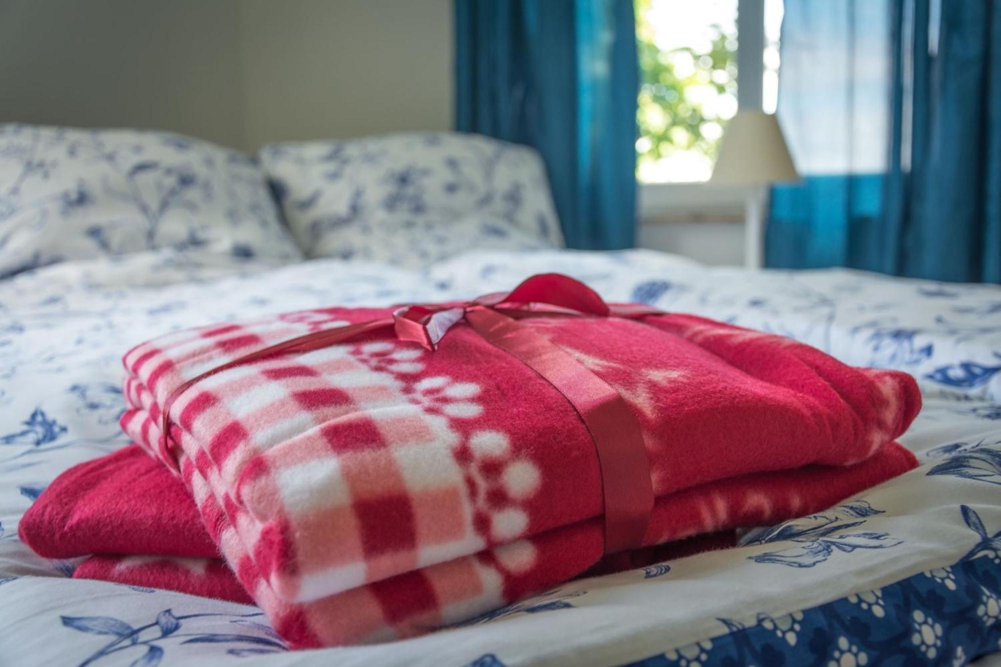 Ferienwohnung Fischersfru Flensburg Dış mekan fotoğraf